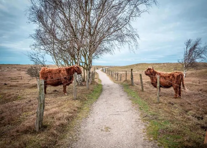 Garden Balcony Lägenhet Graal-Mueritz